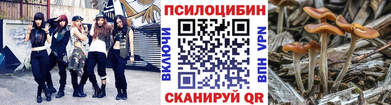 Псилоцибиновые грибы Magic Shrooms  Лениногорск 